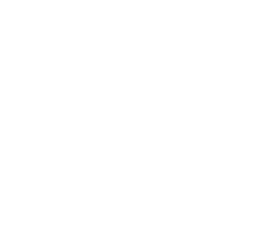 Icone do logo